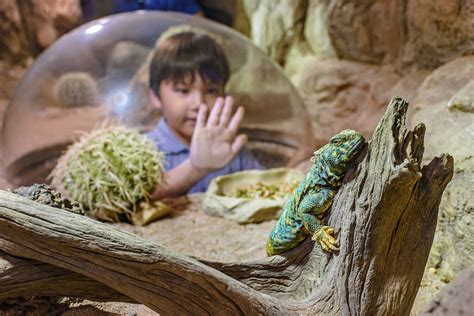 zoos in asia|THE 10 BEST Zoos & Aquariums in Asia .